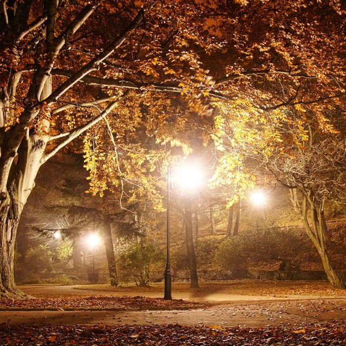 V-TAC Iluminación exterior - Lámpara de poste - Soporte E27 - IP44 - Negro-extra-1.webp